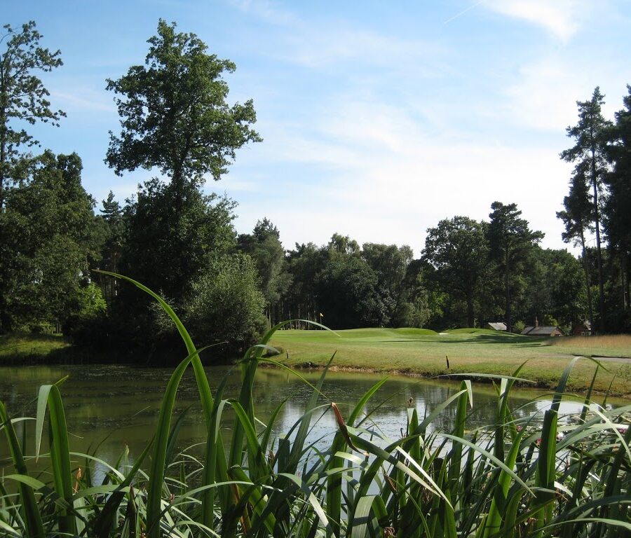 Bearwood Lakes Loch 9