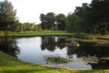 Das sehr hübsche Grün der 16 von Camberley Heath