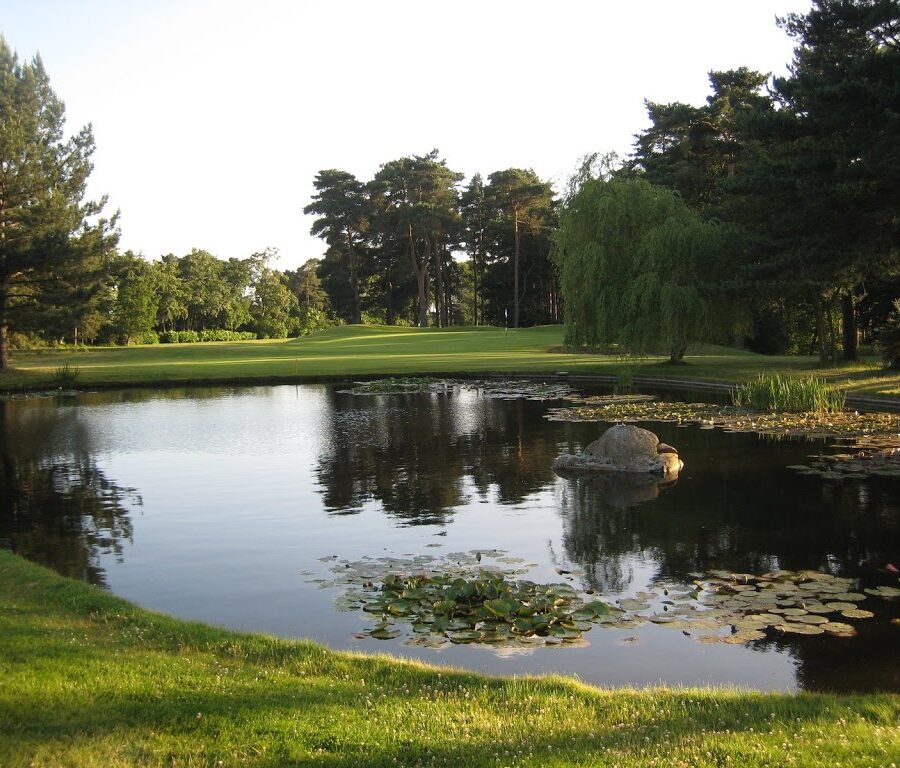 Das sehr hübsche Grün der 16 von Camberley Heath