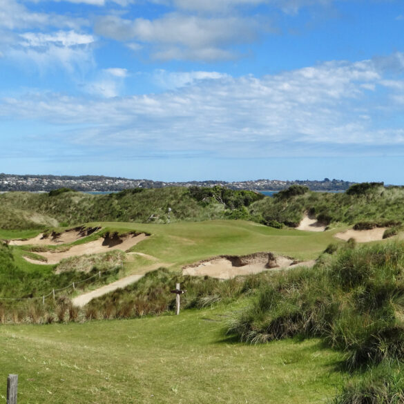 Barnbougle Dunea Loch 7: Tom's Little Devil