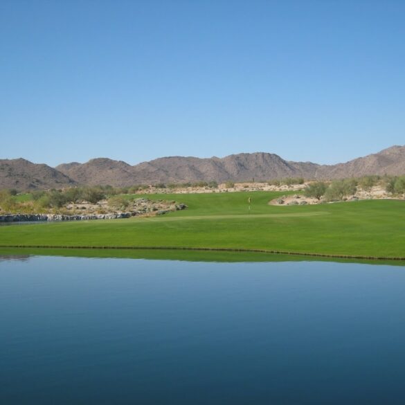 The Raven at Verrado