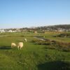 Blick auf Clubhaus und Abschlag Loch 1 von Royal North Devon
