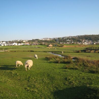 Blick auf Clubhaus und Abschlag Loch 1 von Royal North Devon