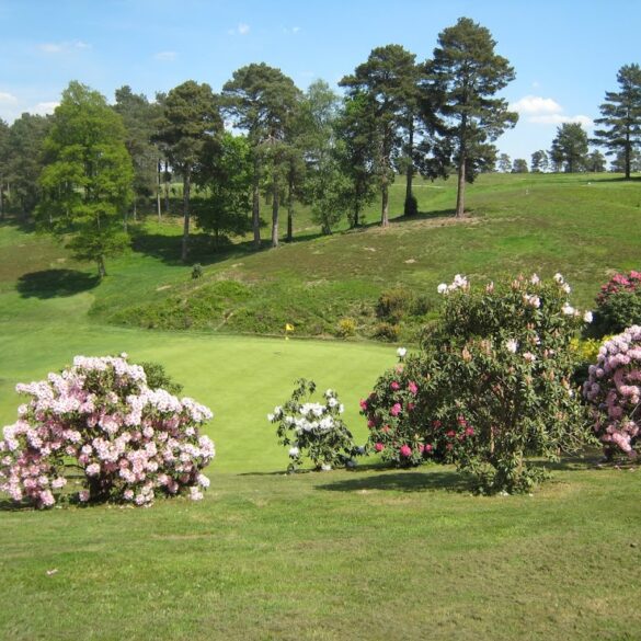 Blick auf das Grün Loch 9 von Hindhead
