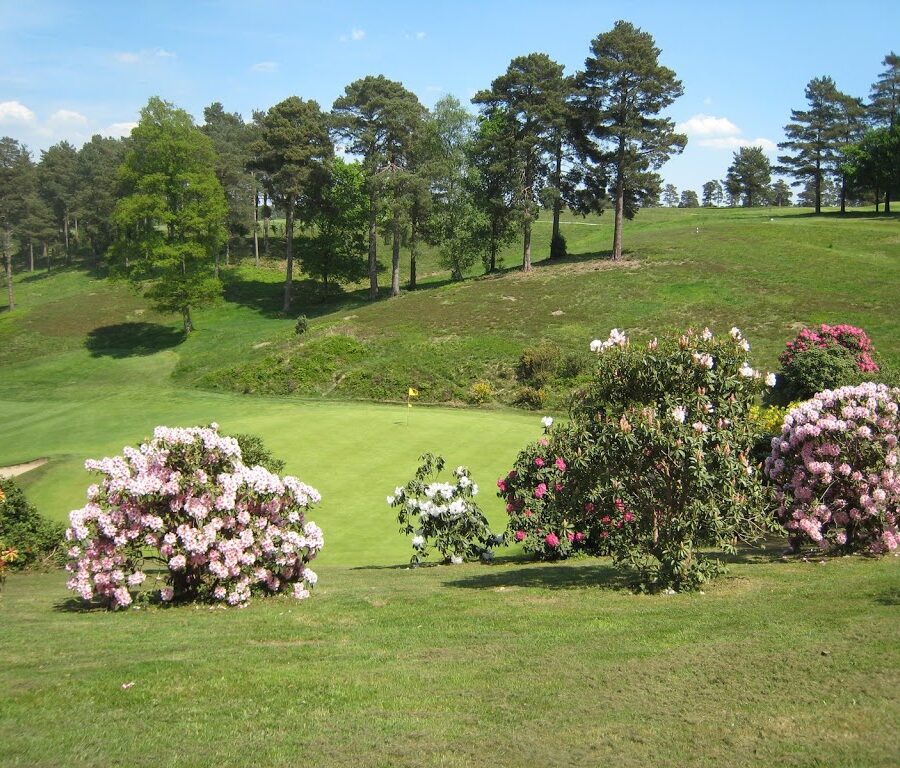 Blick auf das Grün Loch 9 von Hindhead