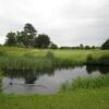 Sand Martins Loch 9