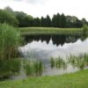 Wexham Park