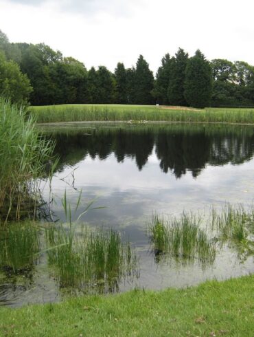 Wexham Park