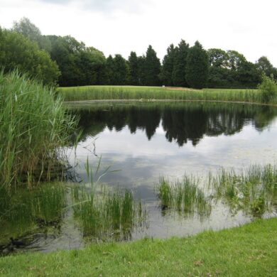 Wexham Park