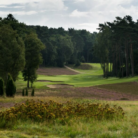 Falkenstein, Loch 17