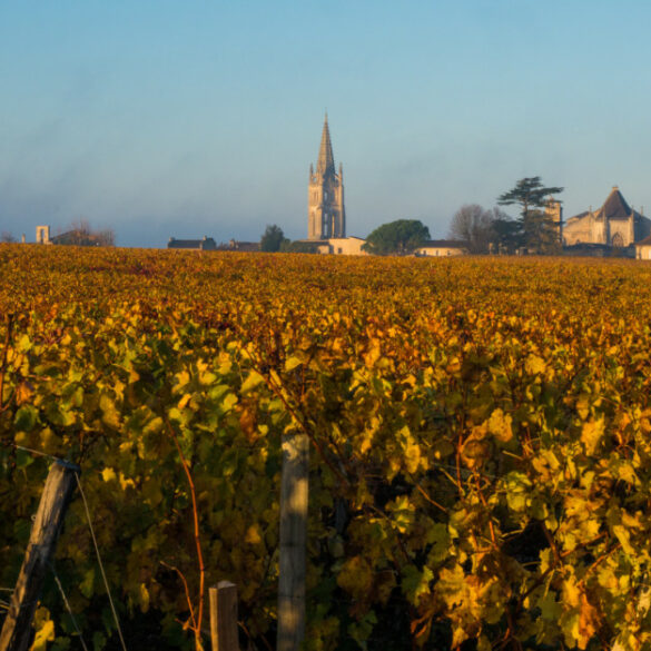 Urlaub in Bordeaux bietet viele Attraktionen
