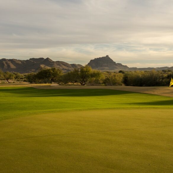 We-Ko-Pa Cholla Loch 16