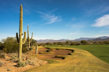 We-Ko-Pa Saguaro Loch 4