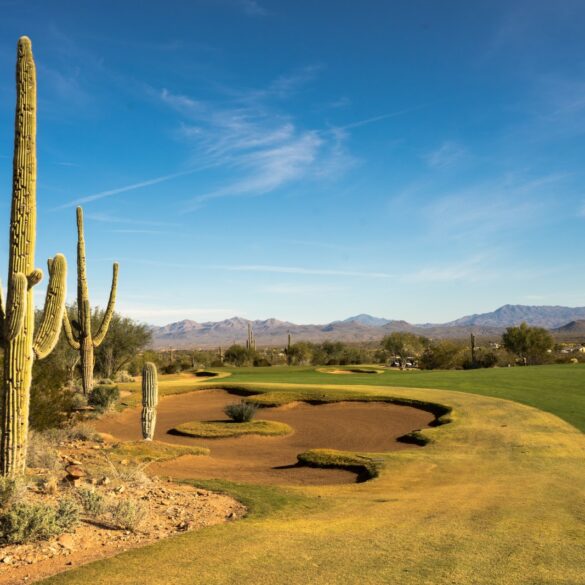 We-Ko-Pa Saguaro Loch 4