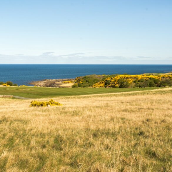 Blick über den Kittocks-Platz