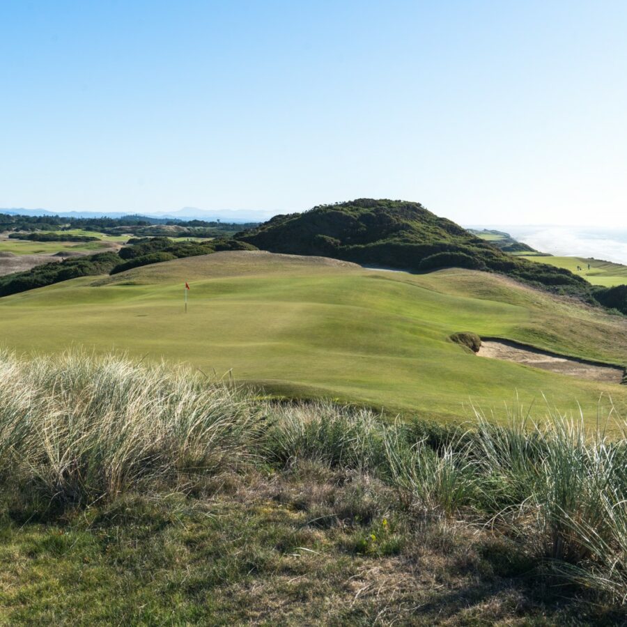 Old MacDonald Grün 7